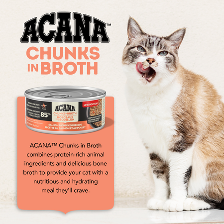 Acana Salmon & Chicken Chunks in Broth - Wet Cat Food