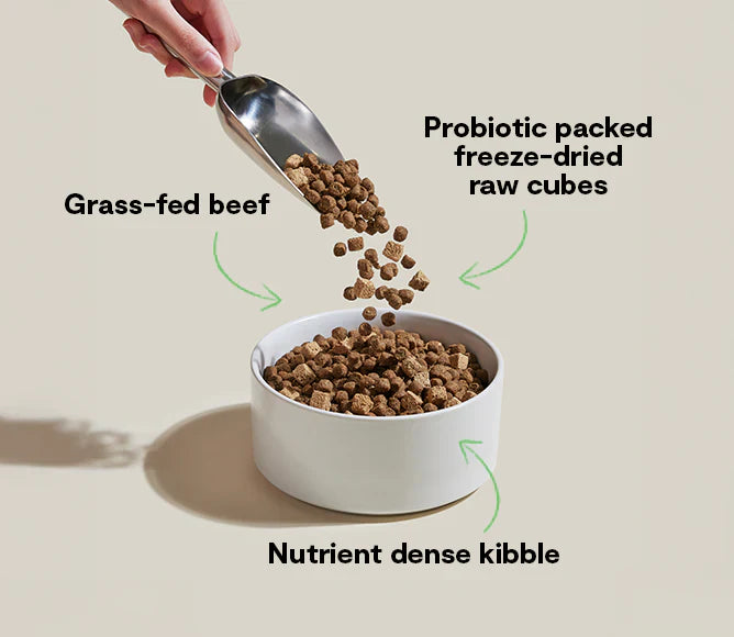 Open Farm GoodGut Grass-Fed Beef Dog Food