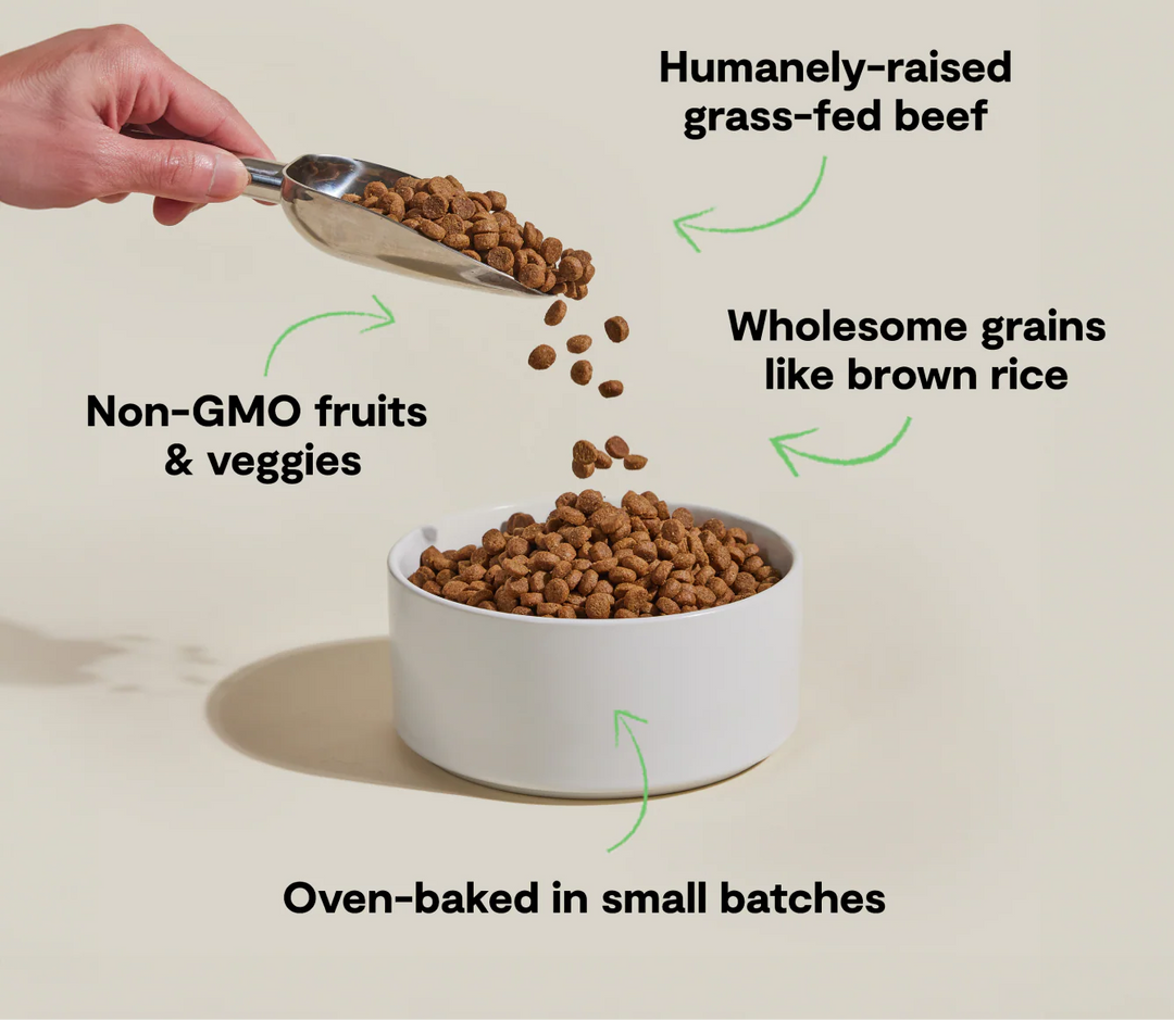Open Farm Goodbowl Grass-Fed Beef & Brown Rice Dog Food