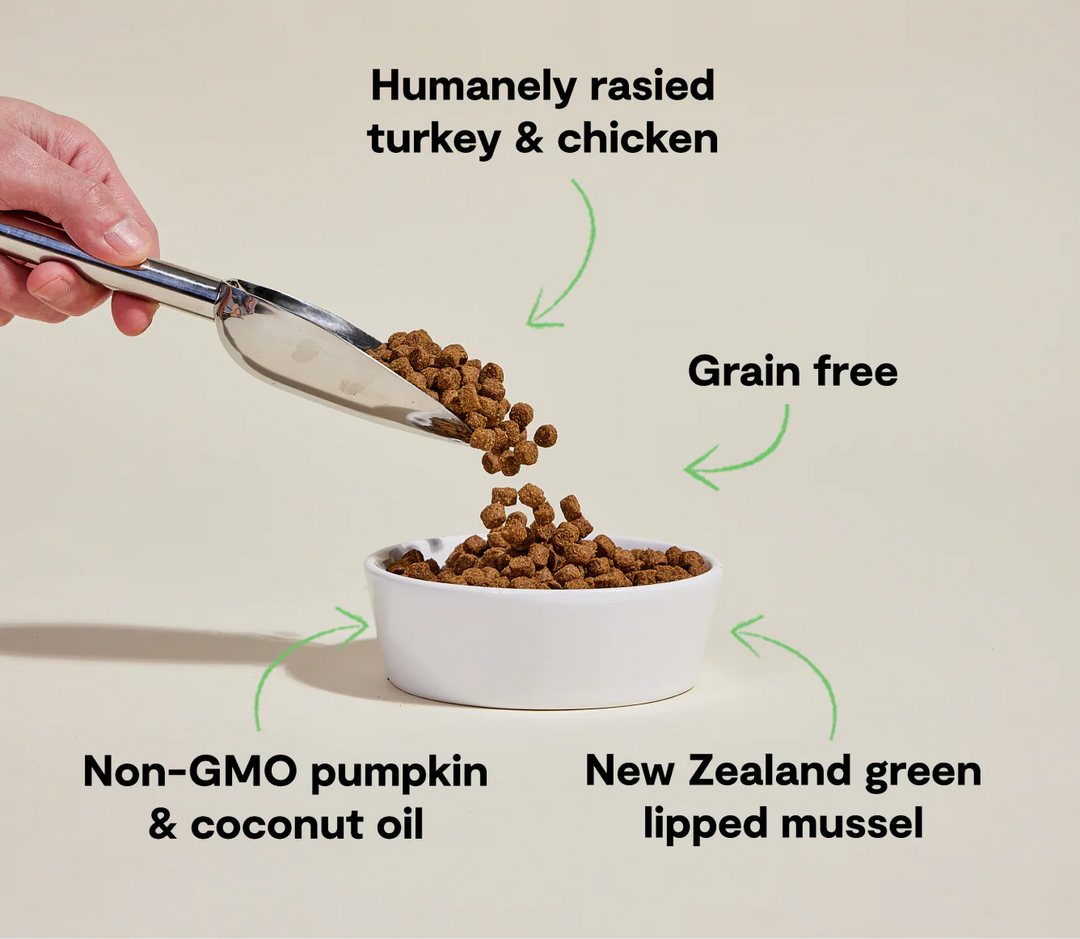 Open Farm Senior Turkey & Chicken Dog Food