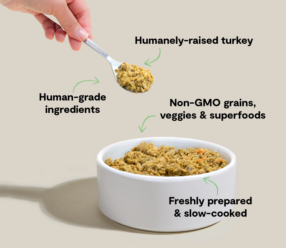 Open Farm Homestead Turkey Gentle Cooked Recipe Frozen Dog Food