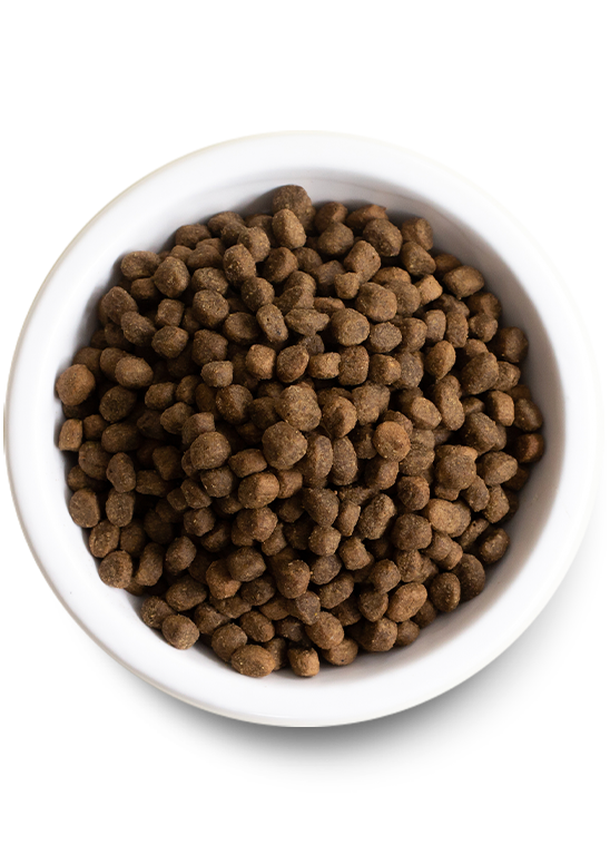 Open Farm - Farmer's Table Pork Grain-Free Dog Food