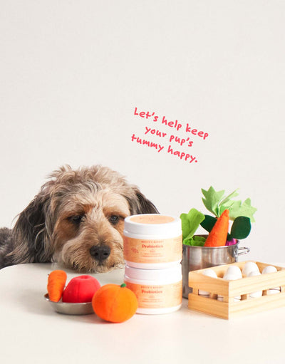 Bocce's Bakery - Probiotics Supplement For Dogs