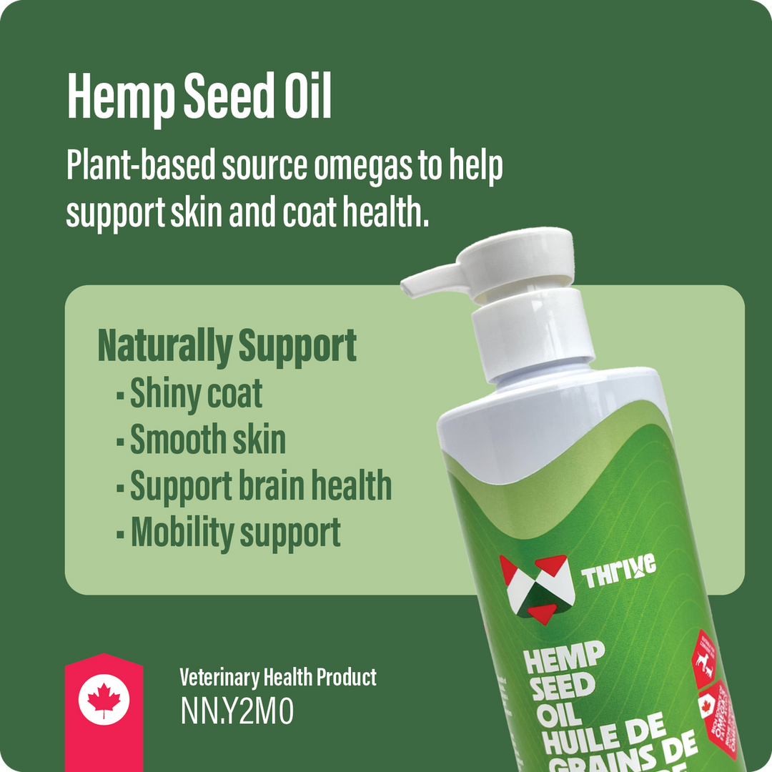Thrive Hemp Seed Oil