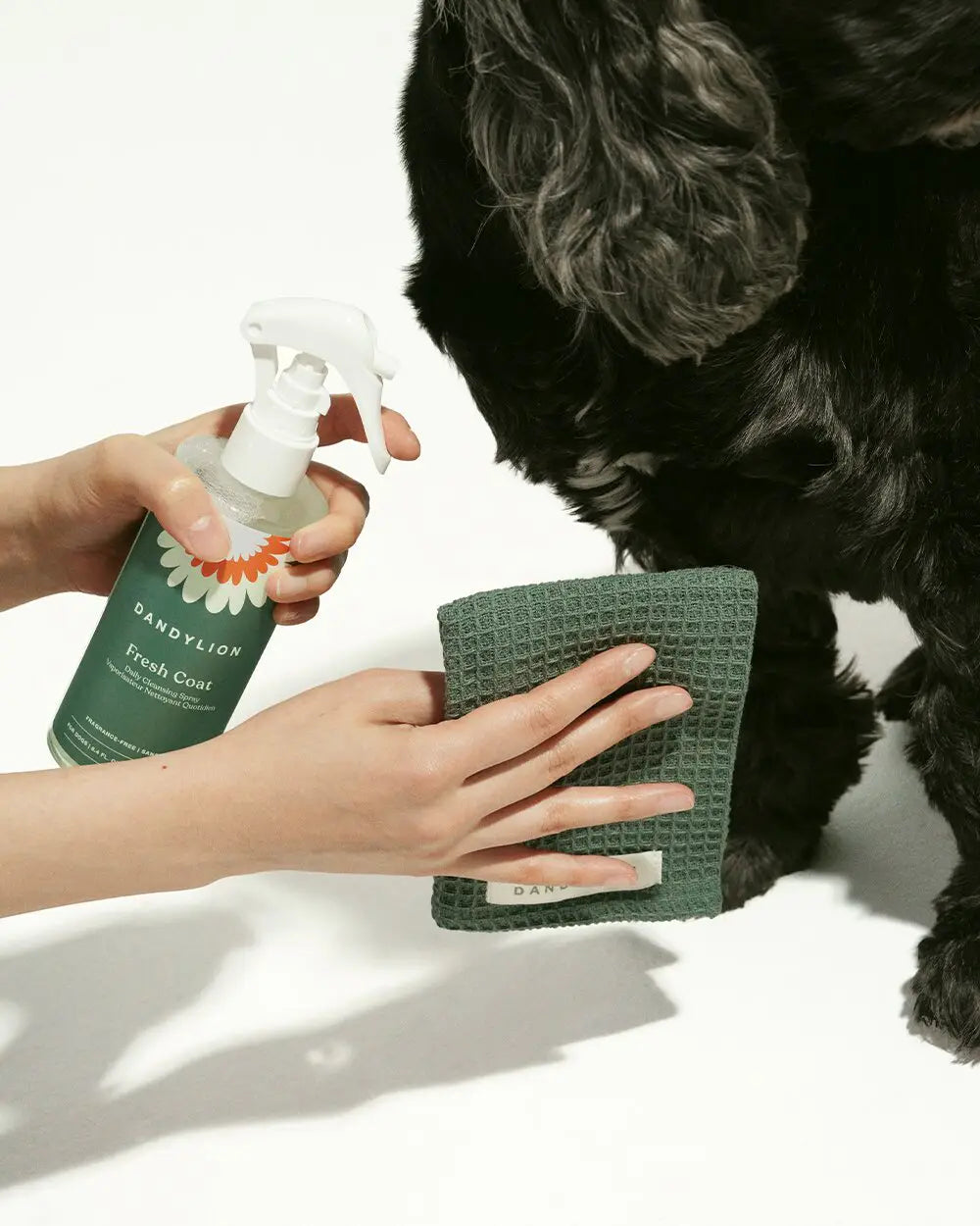 Dandylion Fresh Coat Daily Cleansing Spray