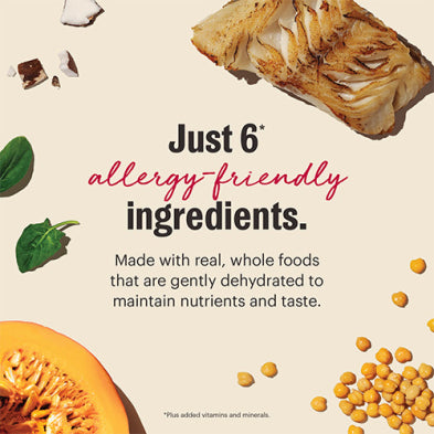 Honest Kitchen Wholemade Limited Ingredient Grain Free Fish Dog Food