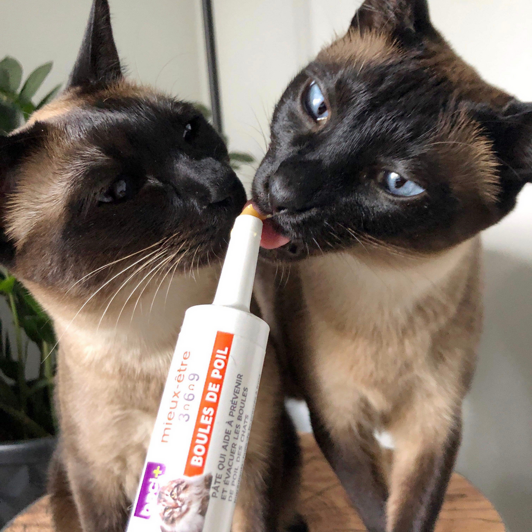 Baci+ Wellbeing Hairball Treatment for Cats