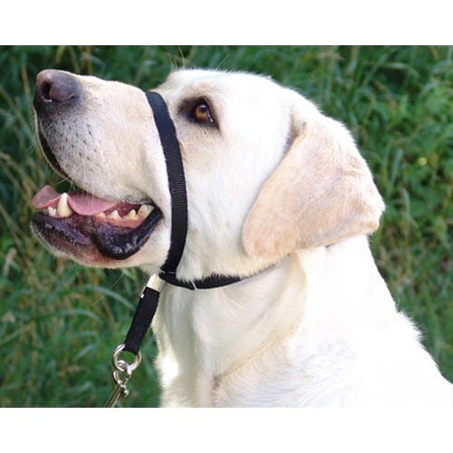 Gentle Leader Dog Headcollar - Black