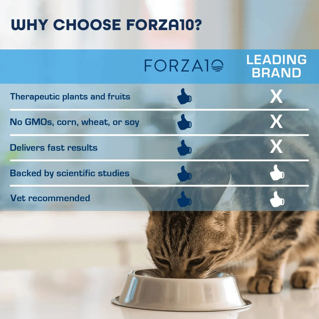 Forza10 Renal Support Wet Cat Food