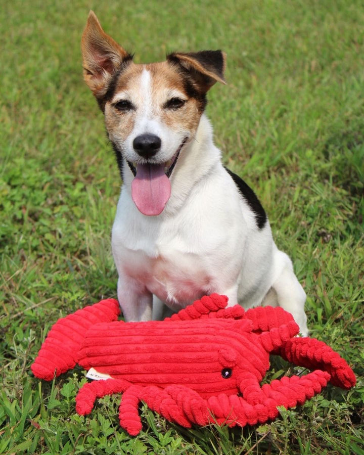 Tall Tails - Plush Lobster Crunch Dog Toy - 14"