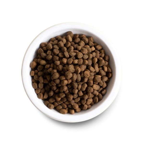 Open Farm Ancient Grains Venison Dog Food