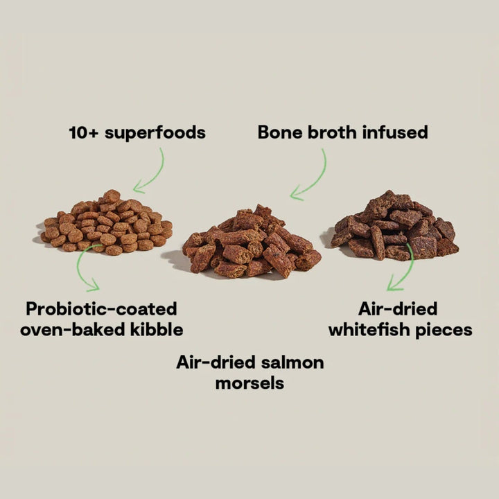 Open Farm Epic Blend Salmon & Superfood Recipe