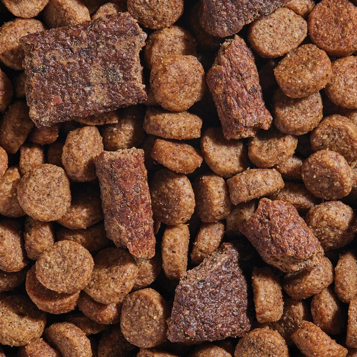 Open Farm Epic Blend Salmon & Superfood Recipe