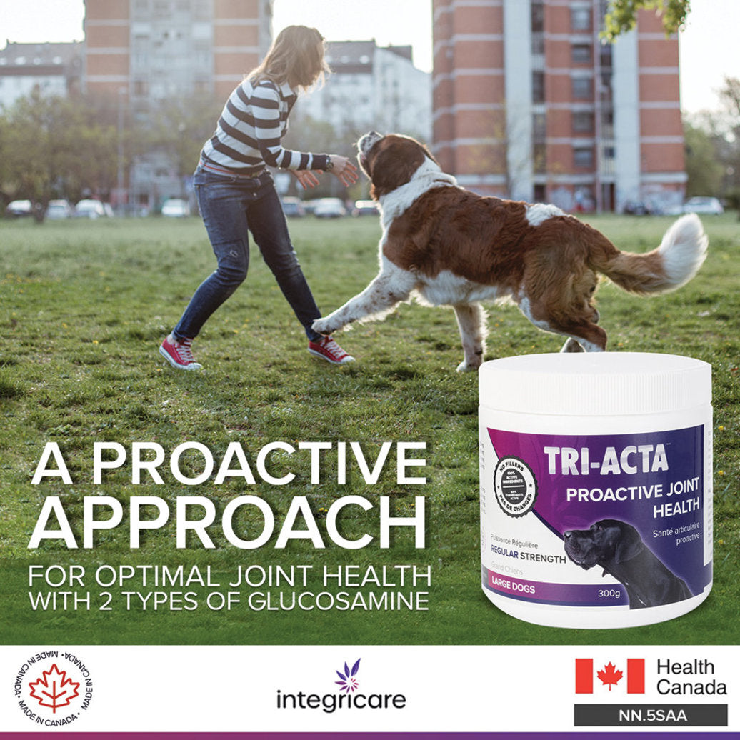 Tri-Acta H.A. Joint Health & Mobility Regular Strength