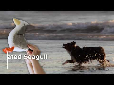 Tall Tails - Animated Plush Seagull Dog Toy - 9"