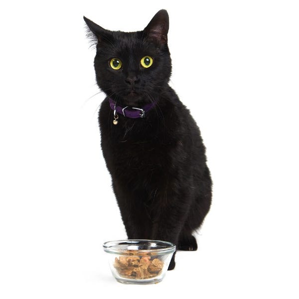 Smack Purrfect Pork Dehydrated Cat Food