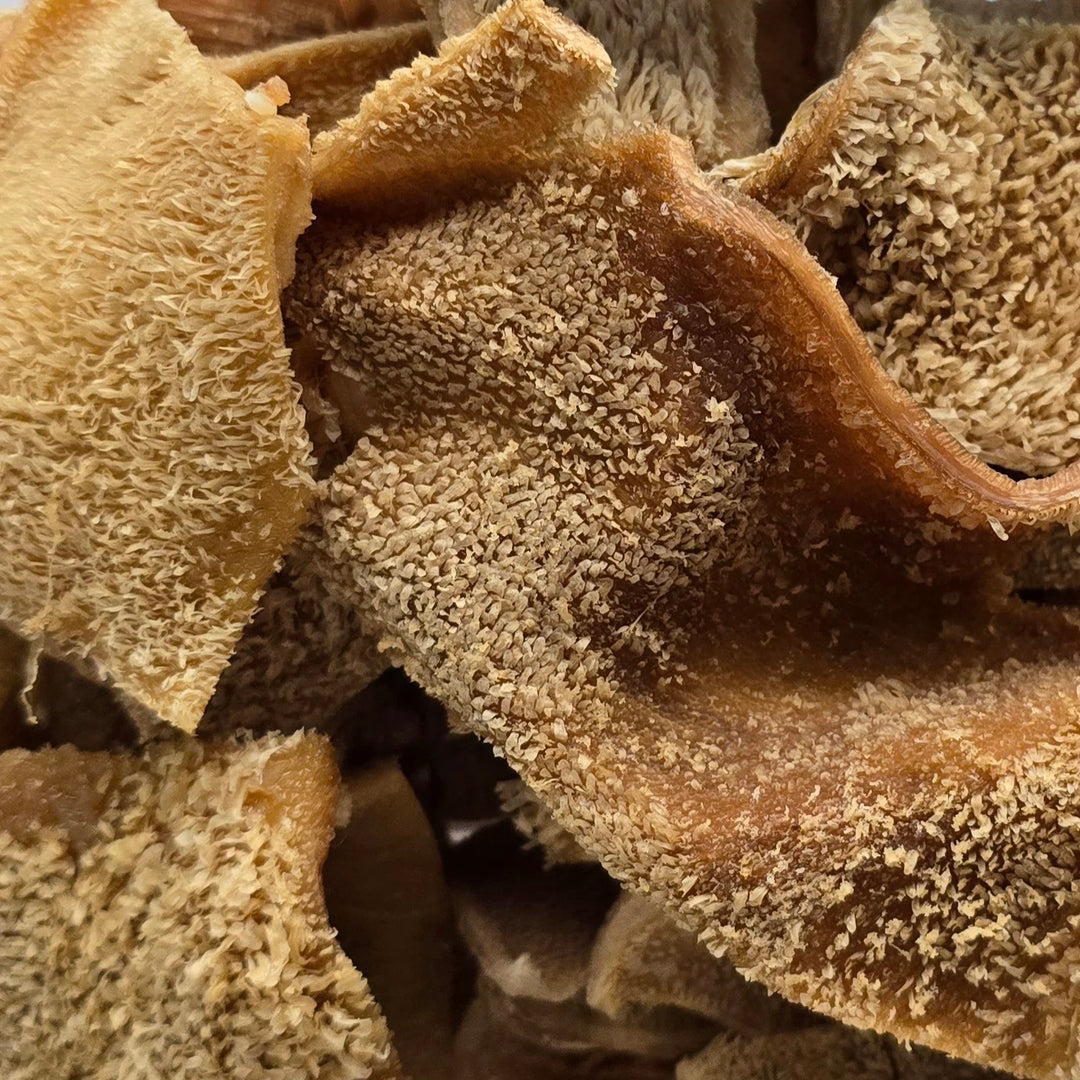 BonBones Elk Tripe Novelty Protein Dog Treats
