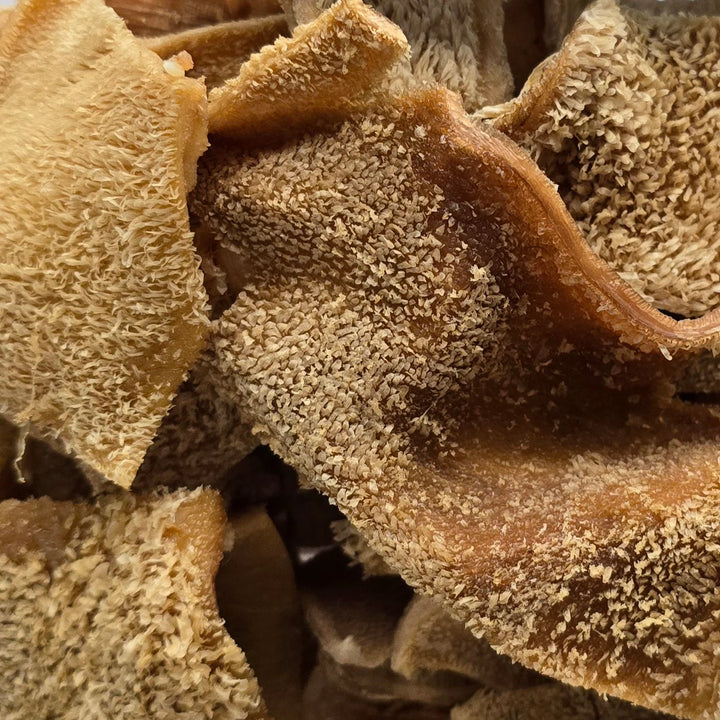 BonBones Elk Tripe Novelty Protein Dog Treats