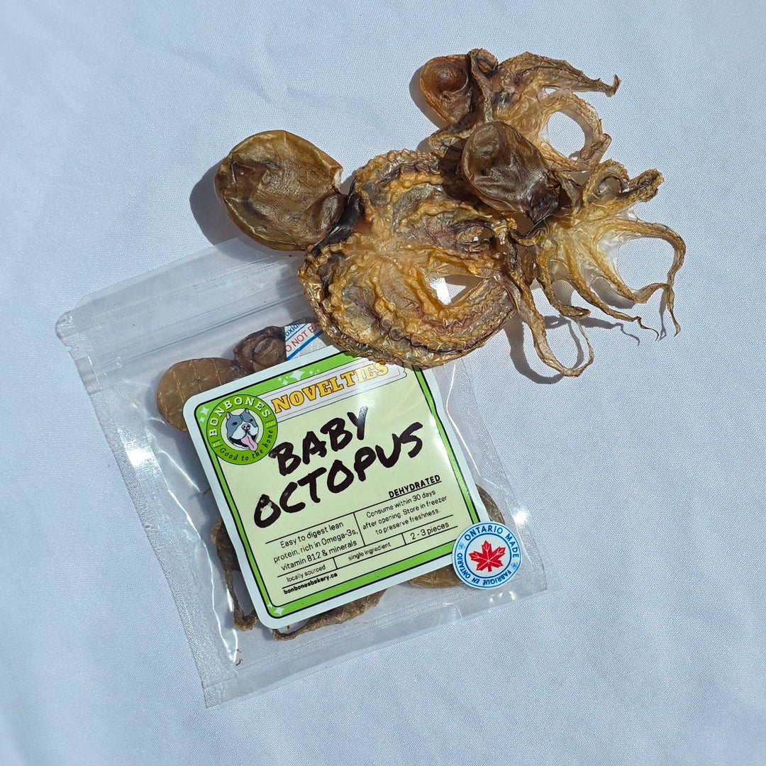 BonBones Baby Octopus Novelty Protein Dog Treats