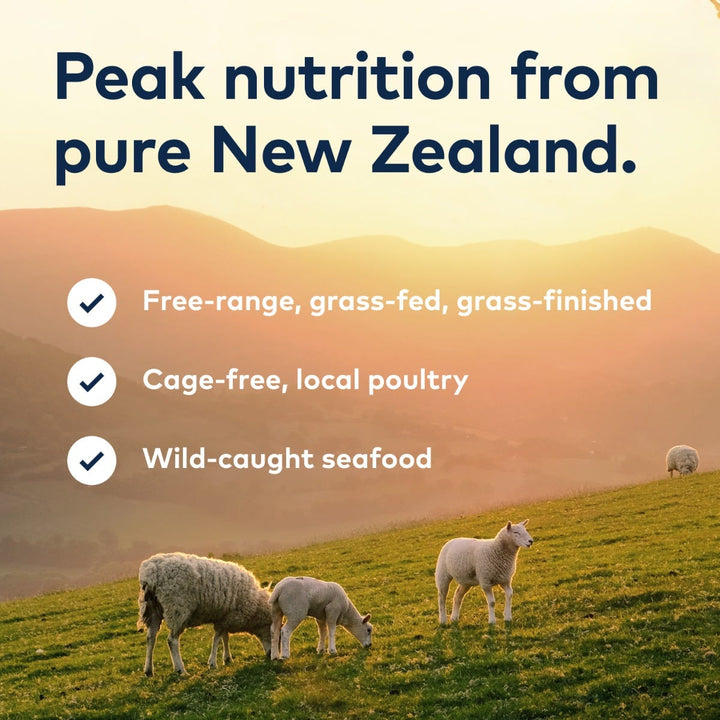 ZIWI Peak Steam and Dried Beef with Pumpkin Dog Food