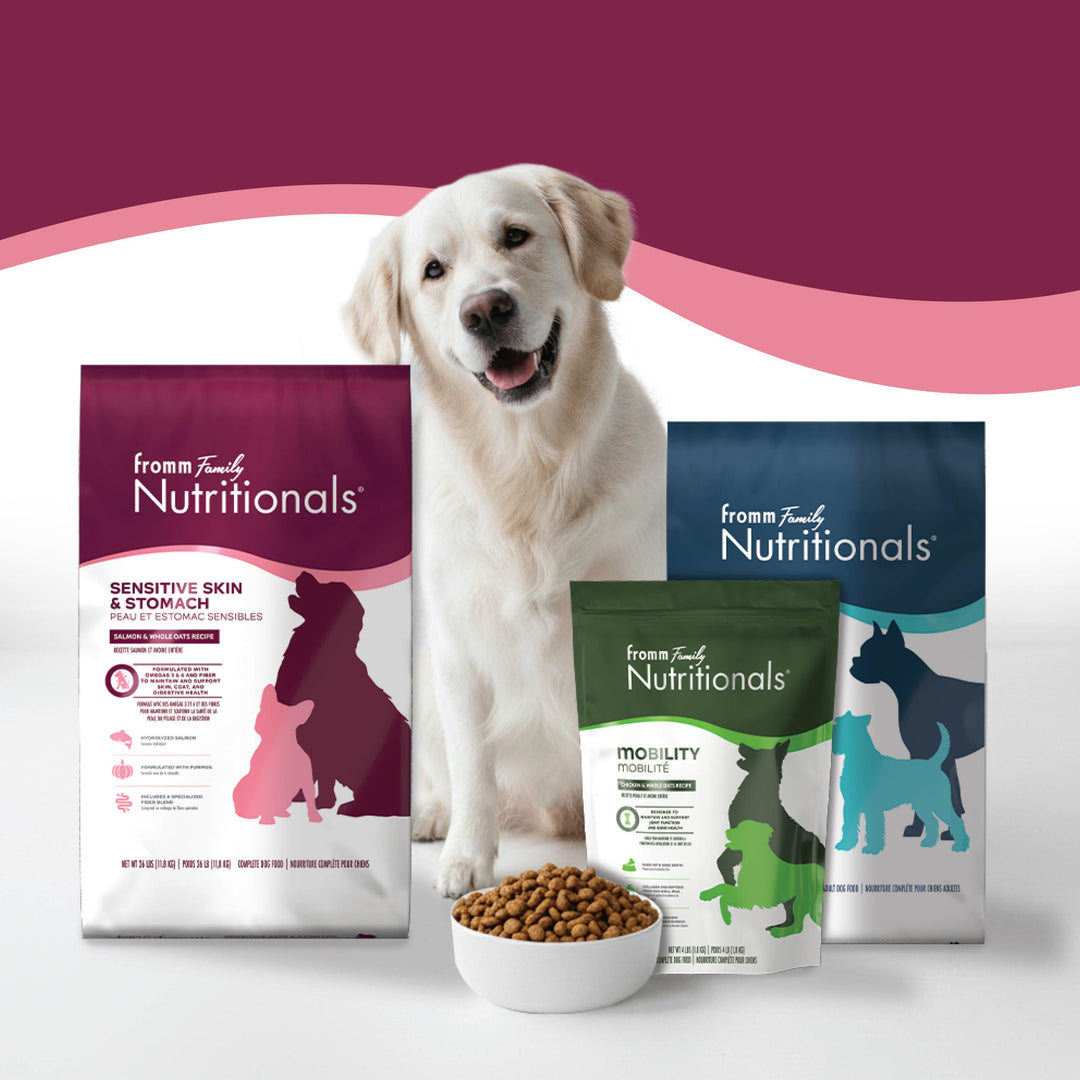 Fromm Nutritionals Sensitive Skin & Stomach Salmon & Whole Oats Recipe Dog Food