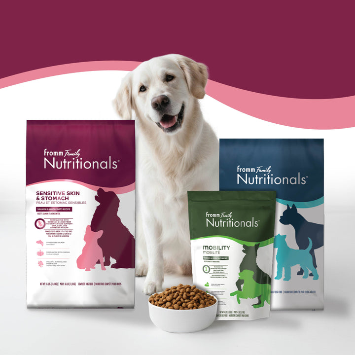Fromm Nutritionals Sensitive Skin & Stomach Salmon & Whole Oats Recipe Dog Food