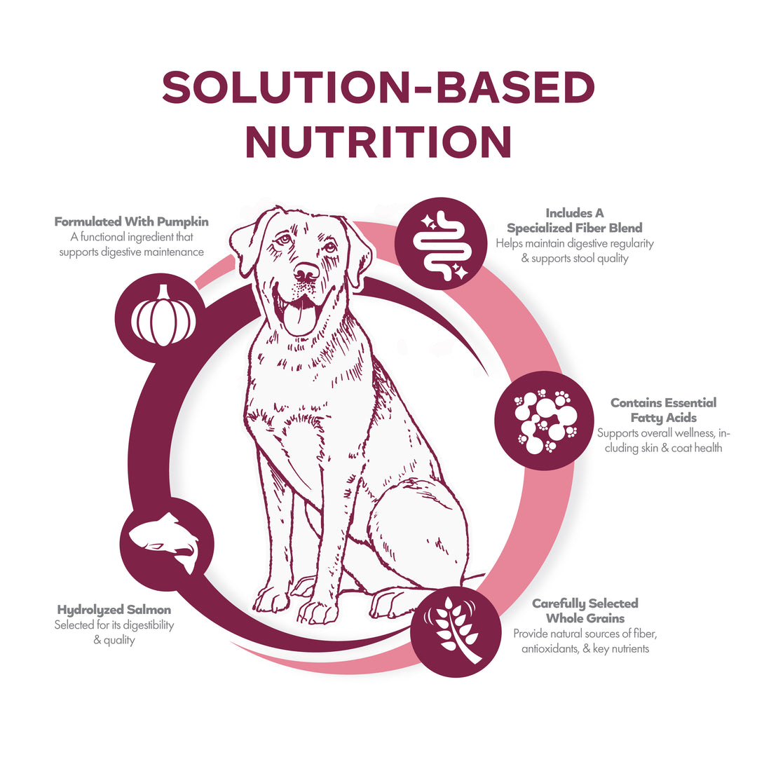 Fromm Nutritionals Sensitive Skin & Stomach Salmon & Whole Oats Recipe Dog Food
