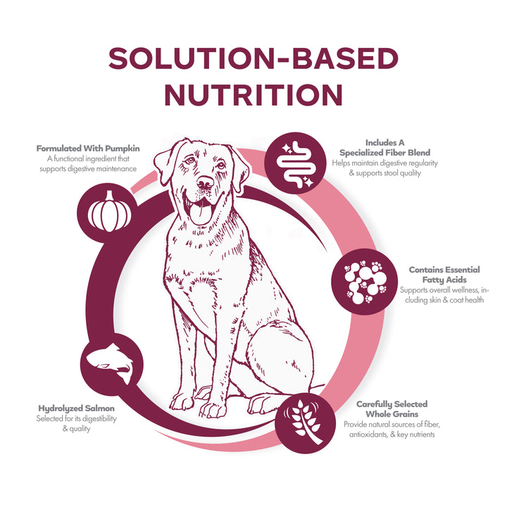 Fromm Nutritionals Sensitive Skin & Stomach Salmon & Whole Oats Recipe Dog Food