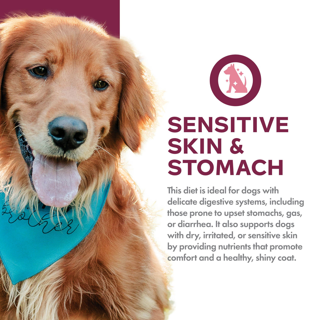 Fromm Nutritionals Sensitive Skin & Stomach Salmon & Whole Oats Recipe Dog Food