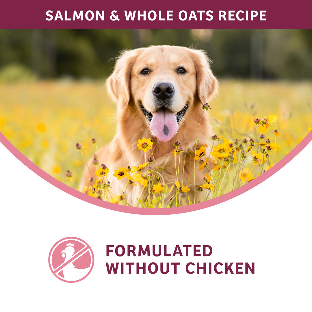 Fromm Nutritionals Sensitive Skin & Stomach Salmon & Whole Oats Recipe Dog Food
