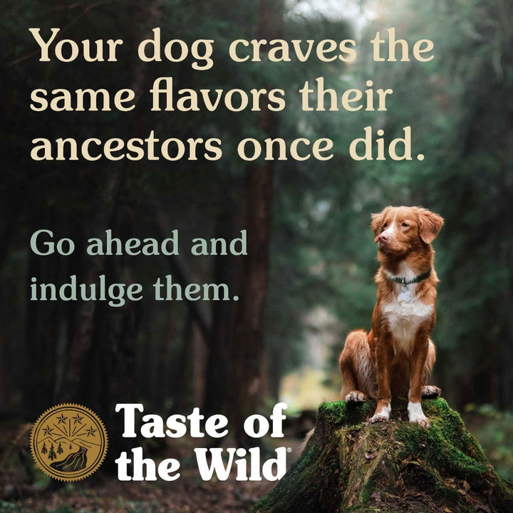 Taste of the Wild Pine Forest Recipe with Venison Dog Food