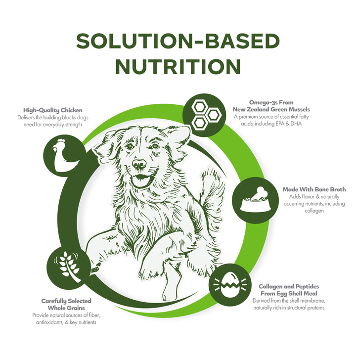 Fromm Nutritionals Mobility Chicken & Whole Oats Recipe Dog Food