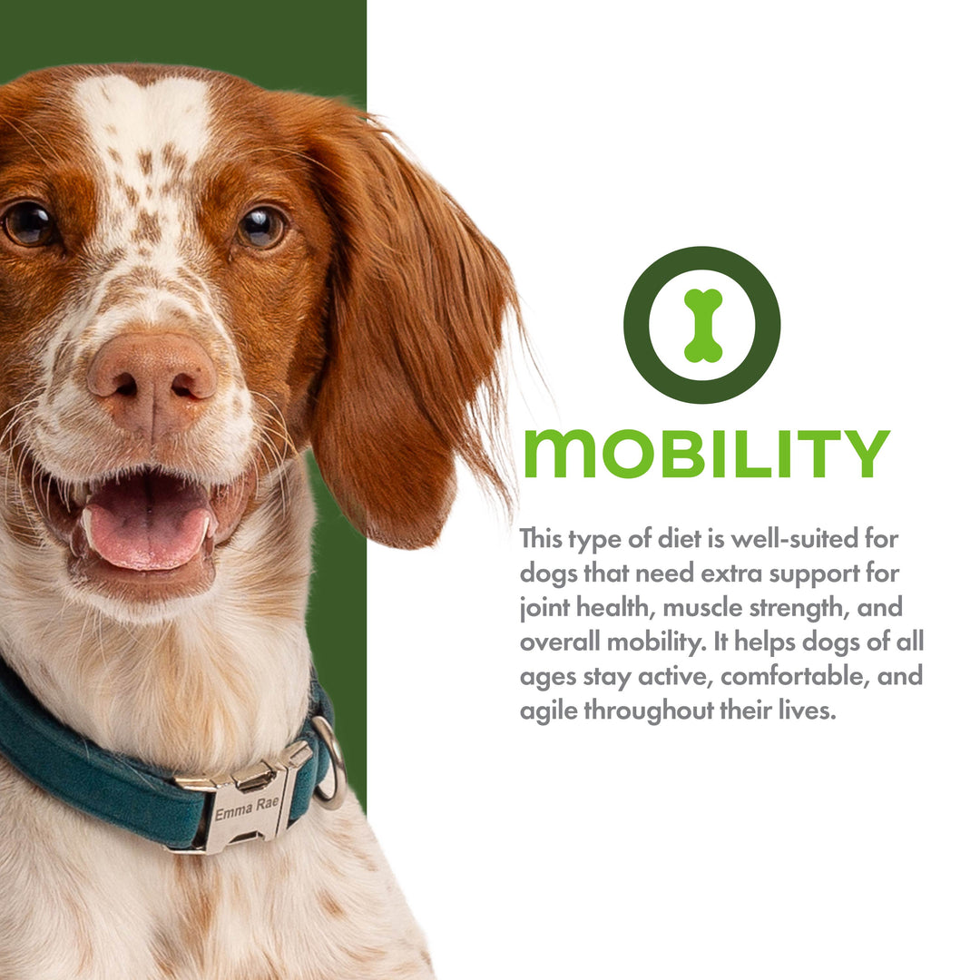Fromm Nutritionals Mobility Chicken & Whole Oats Recipe Dog Food