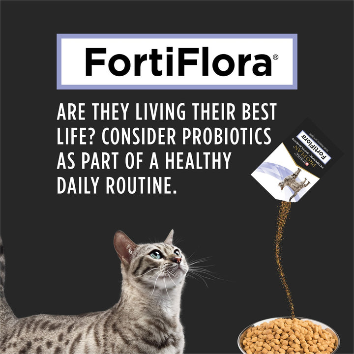 Purina Pro Plan Veterinary FortiFlora Cat Supplements