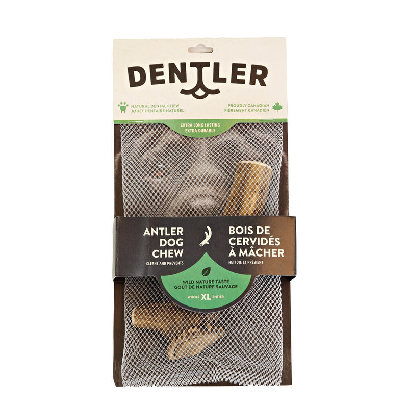 Dentler Antler Dog Chew