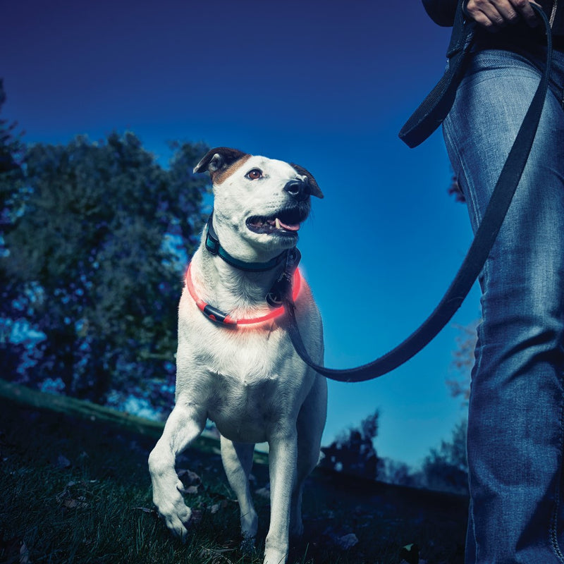 Nite Ize NiteHowl LED Safety Necklace