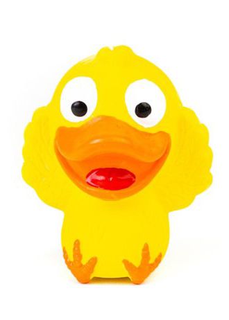 BuD'z - Duckling Squeaker Latex Toy