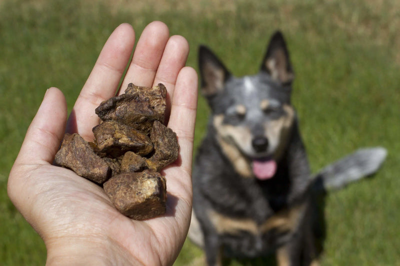 Redbarn Bully Nuggets