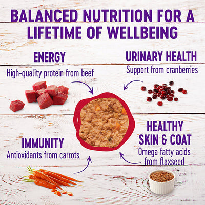 Wellness Complete Health Beef & Chicken Dinner Pate Wet Cat Food