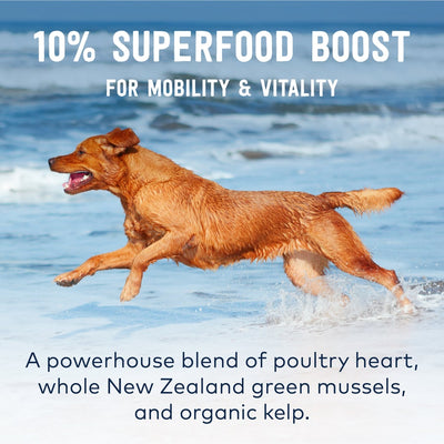ZIWI Peak New Zealand Free Range Chicken Dog Food