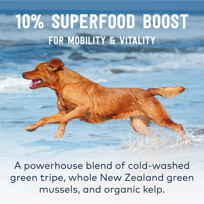 ZIWI Peak New Zealand Beef Dog Food