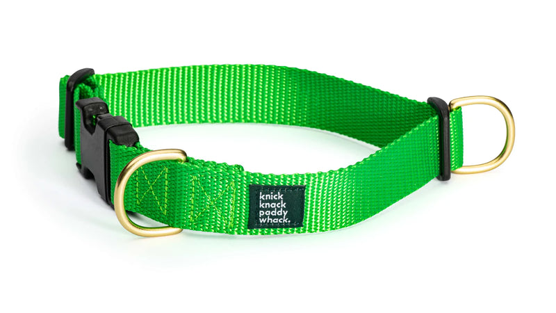 Neon Green Buckle Collar