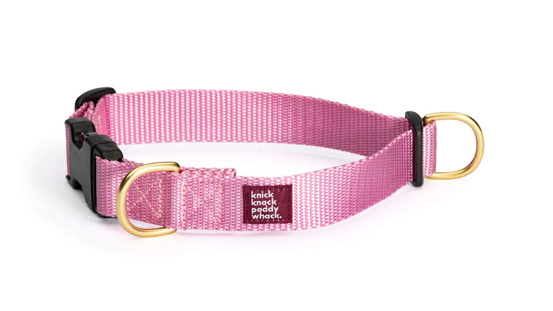 Rose Buckle Collar