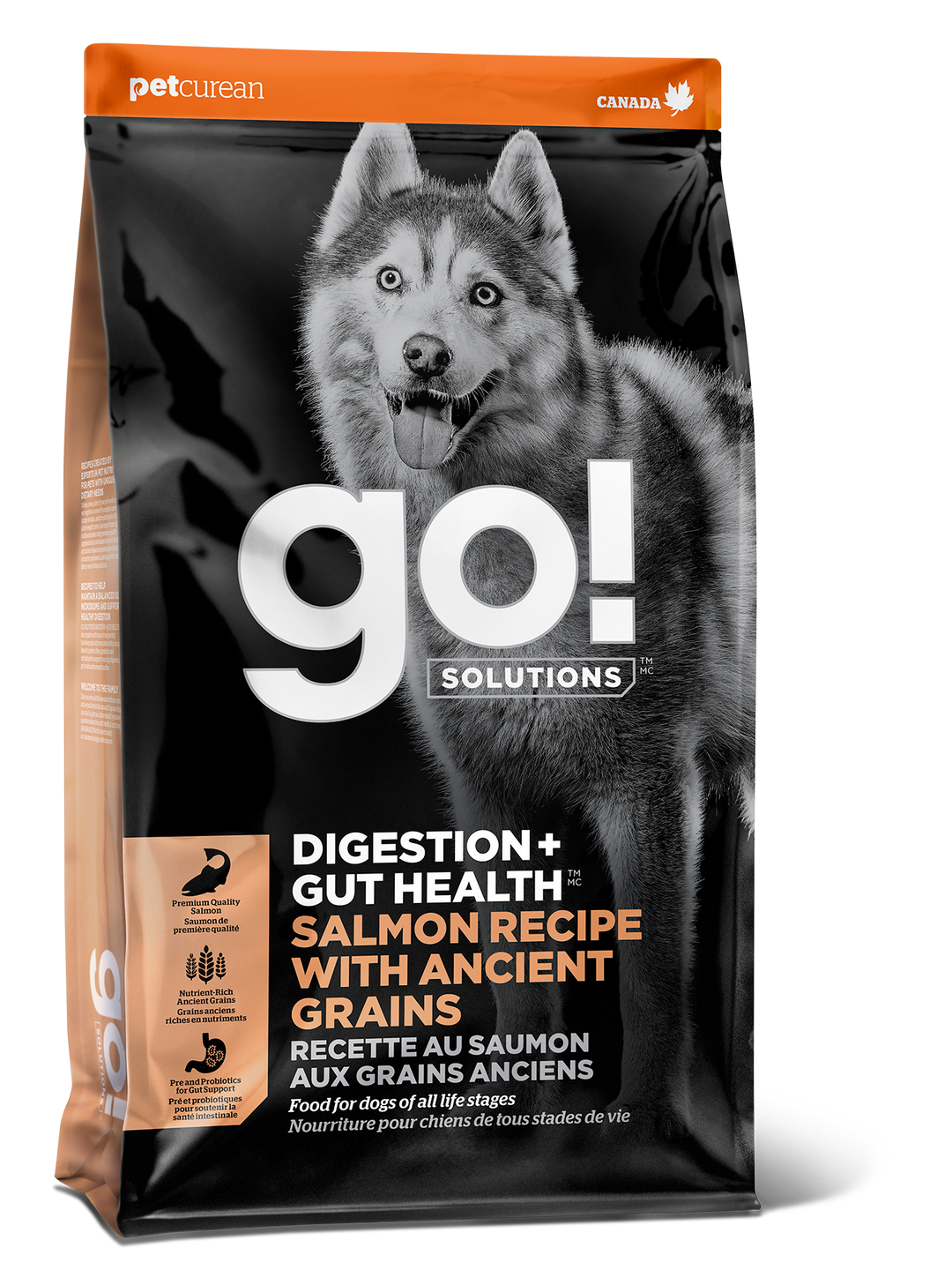 Go! Solutions Digestion + Gut Health Salmon Recipe With Ancient Grains Dog Food