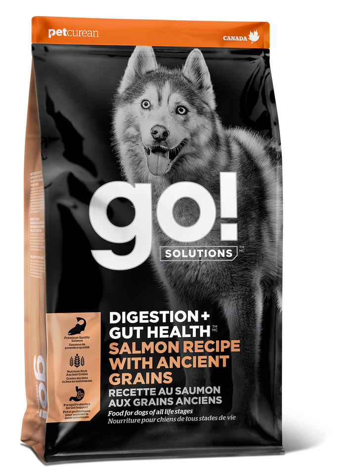 Go! Solutions Digestion + Gut Health Salmon Recipe With Ancient Grains Dog Food