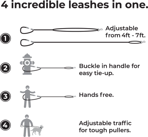 Hands Free Adjustable Leash - Purple