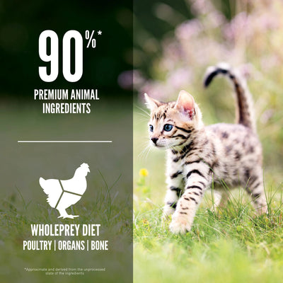 Orijen Kitten Cat Food