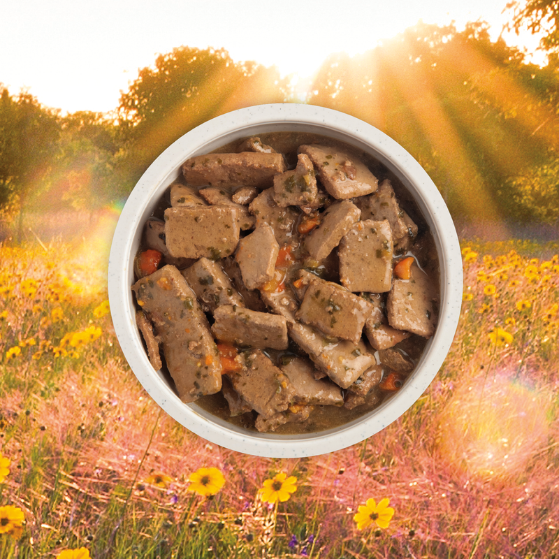 Acana Premium Chunks, Beef Recipe in Bone Broth