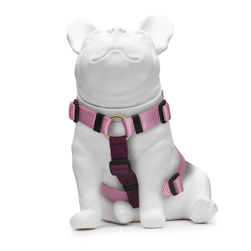 Rose & Purple Harness