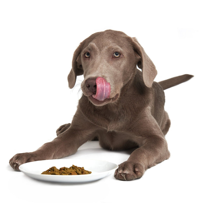 Smack Very Berry Chicken Dog Food